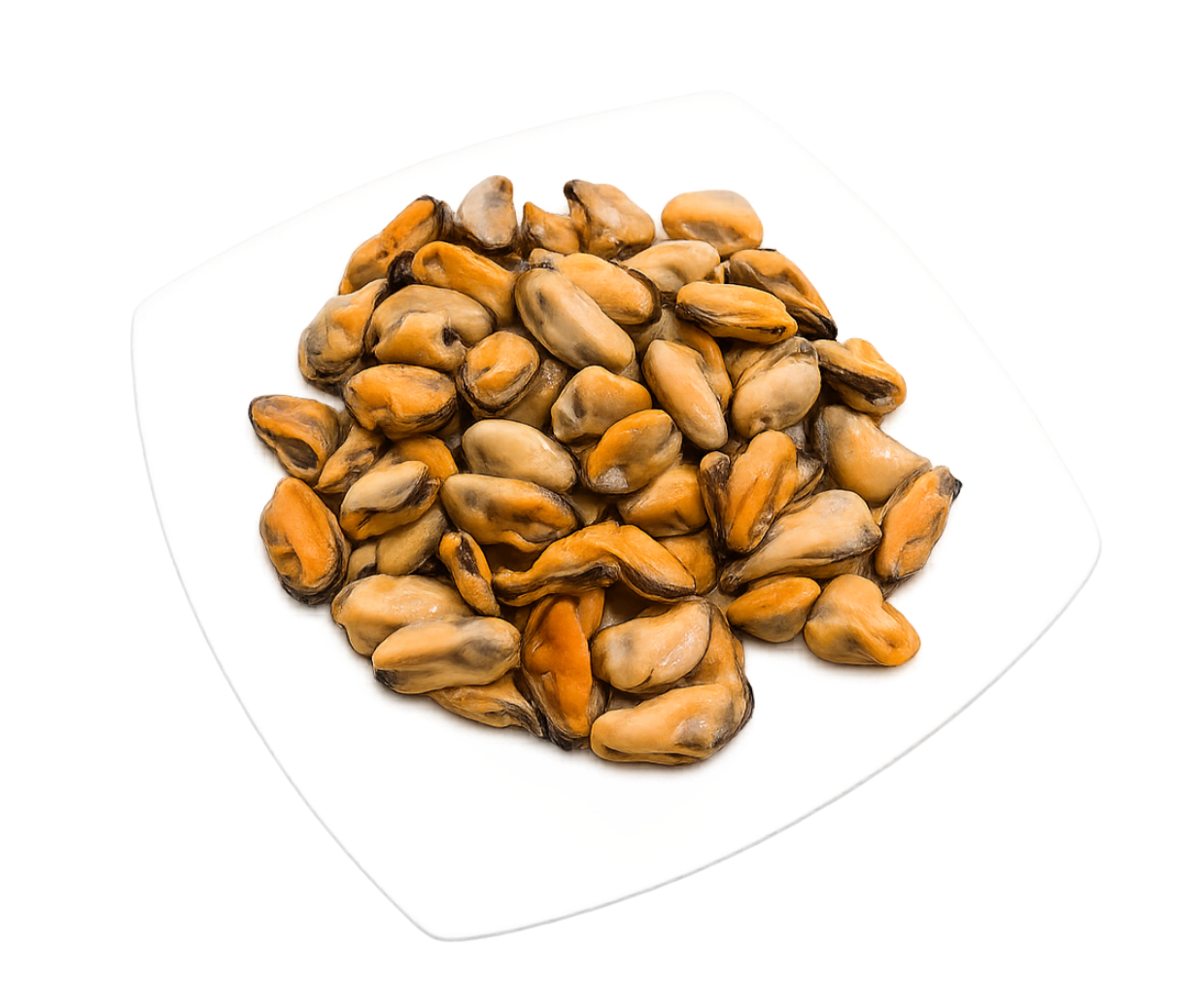 Formato 1KG/AP