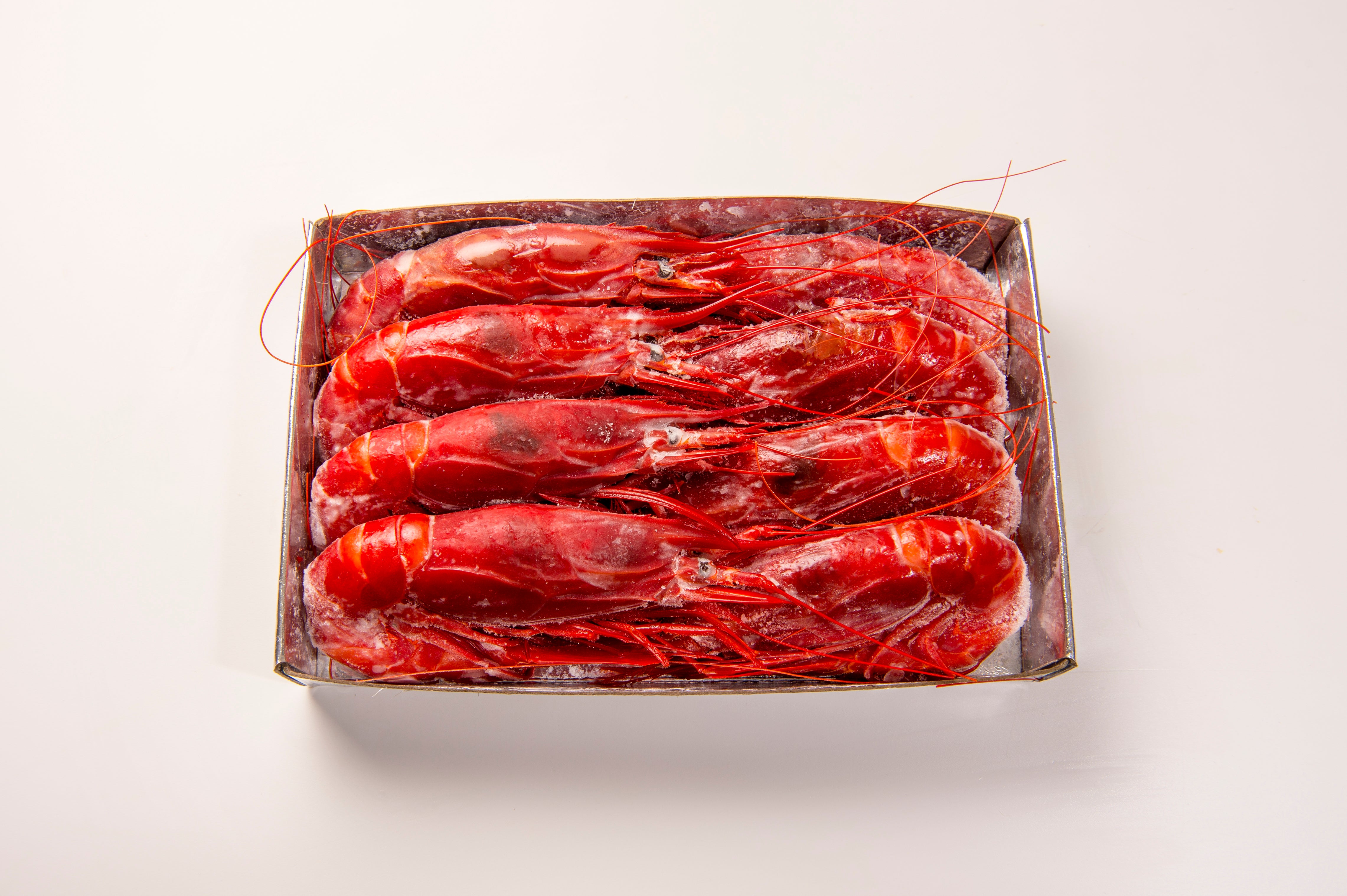 Formato 1,2KG/AP